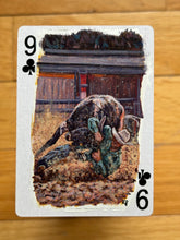 Load image into Gallery viewer, Original Cards- Rodeo Deck