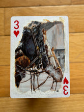 Load image into Gallery viewer, Original Cards- Rodeo Deck