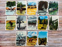 Load image into Gallery viewer, Card Deck - Alberta