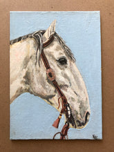 Load image into Gallery viewer, Roman nose