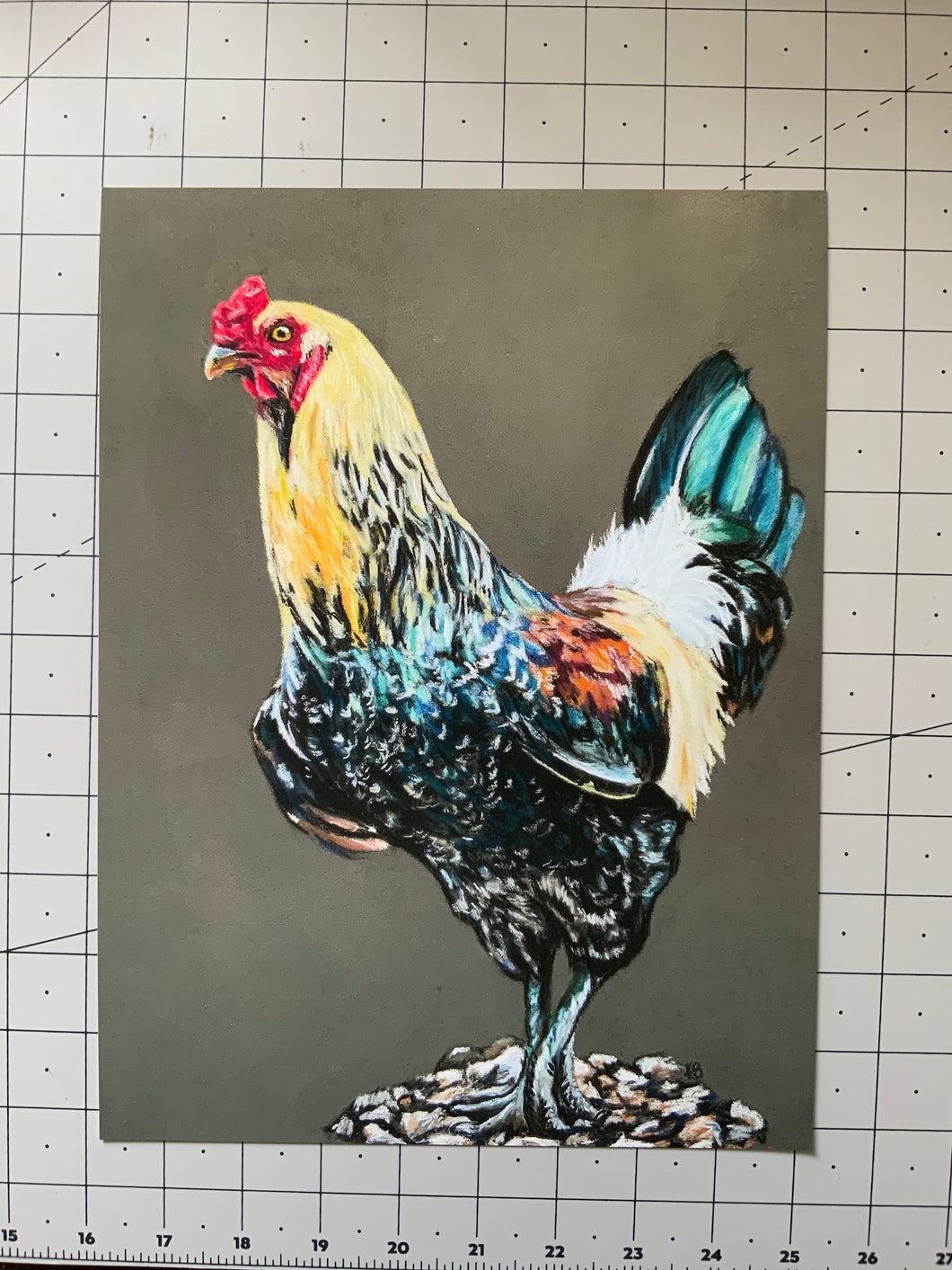 Rooster - giclee print